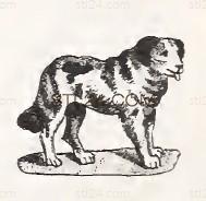 ANIMAL_0164